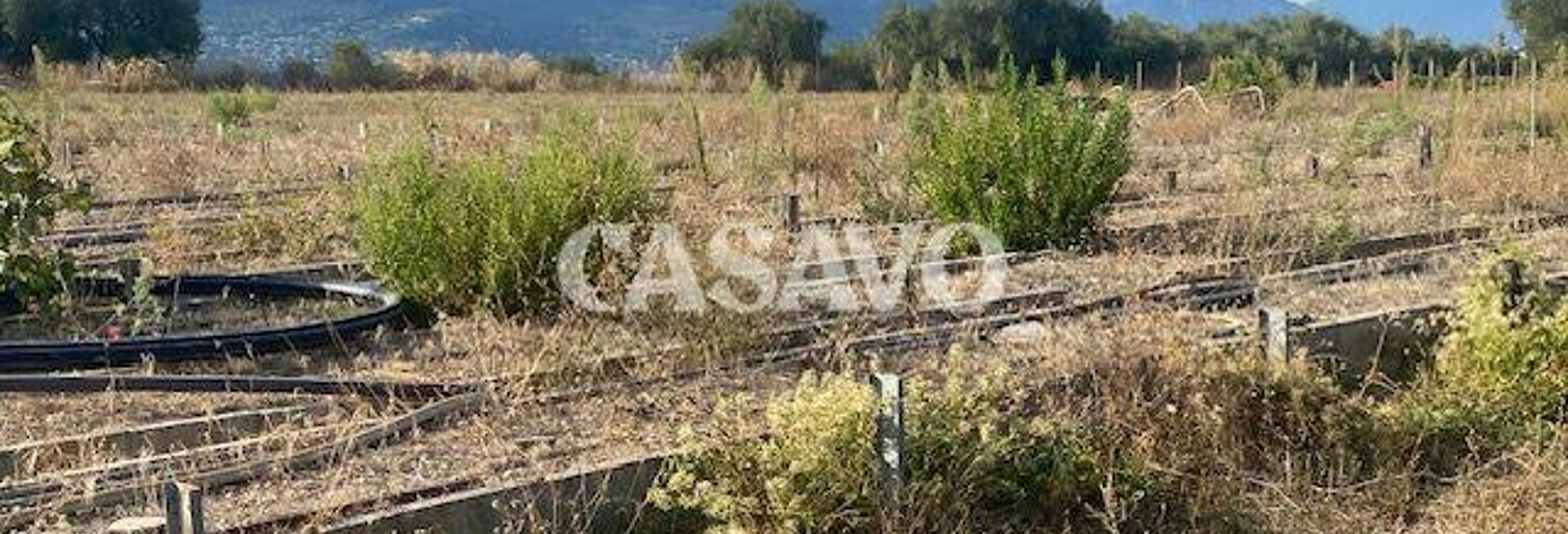 Terrain  6900 m² à vendre à Nice (06200)