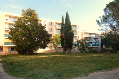 Appartement 3 pièces 434 €