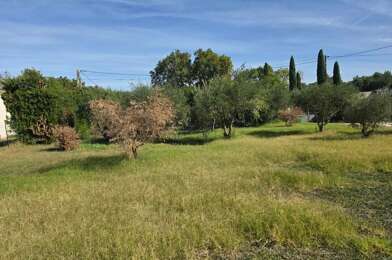 Terrain  98000 €