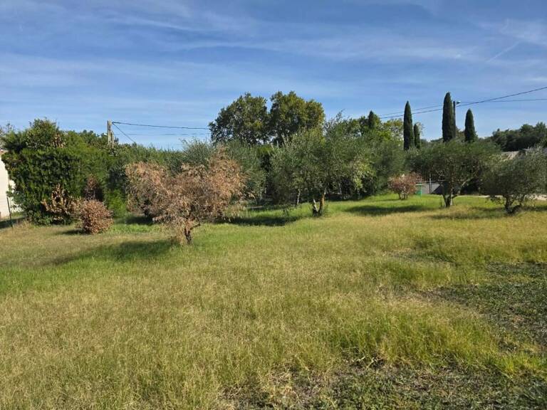 Terrain À Vendre Montfavet Secteur BEL AIR — photo 1