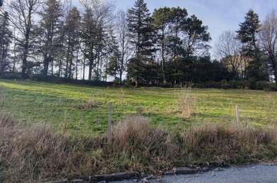 Terrain  61000 €