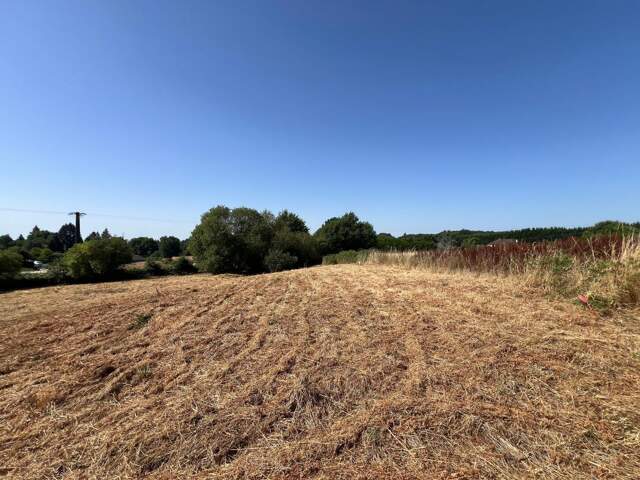 TERRAIN CONSTRUCTIBLE 2 243 m² – COUZEIX – PROJET GRANDE MAISON AVEC PISCINE – LIBRE DE CONSTRUCTEUR — photo du bien