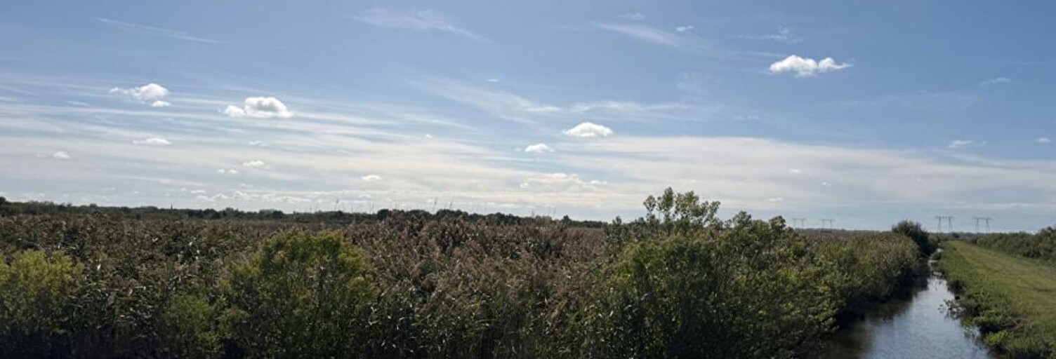 Terrain  100070 m² à vendre à Braud-et-Saint-Louis (33820)