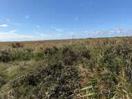 Terrain agricole de 10 hectares — photo 3