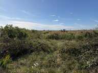 Terrain agricole de 10 hectares — photo 4