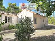 Maison familiale de plain pied sur grand terrain avec piscine — photo 3