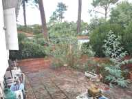 TERRAIN ARCACHON ABATILLES — photo 4