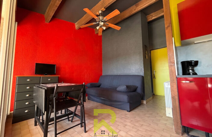 GRAU D'AGDE, studio cabine, parking, piscine à 400m de la pl — photo 4