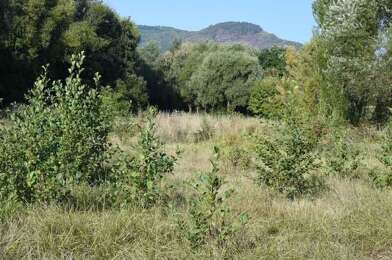 Terrain  60000 €