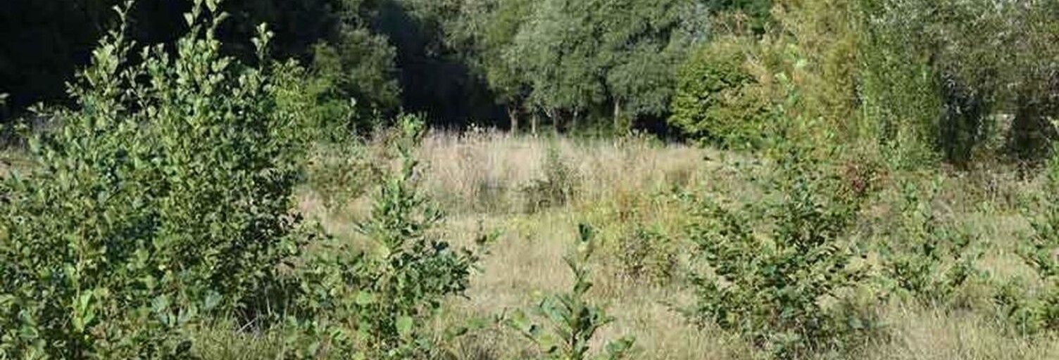 Terrain   m² à vendre à Saint-Maximin-la-Sainte-Baume (83470)