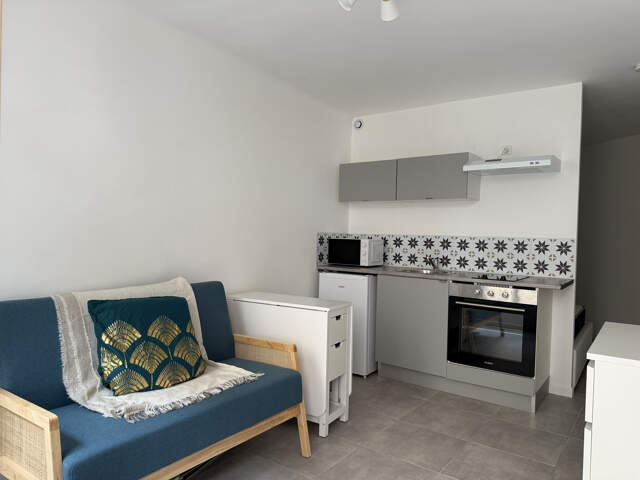 Studio meublée 21m2 rénové — photo du bien