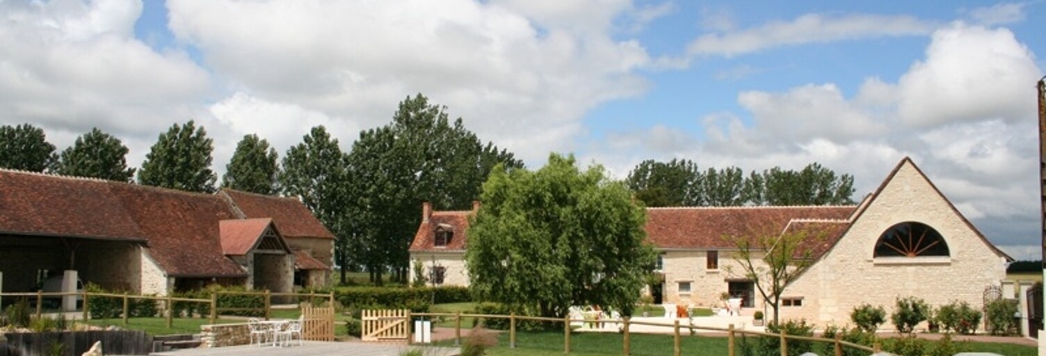 Maison 35 Pièces 561 m² à vendre à Bossée (37240)