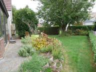 BARENTIN — photo 2