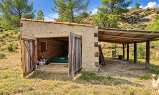 Terrain  15645 m² à vendre à Castelreng (11300)