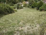 Vente Terrain à bâtir 2 407 m&sup2; — photo 3