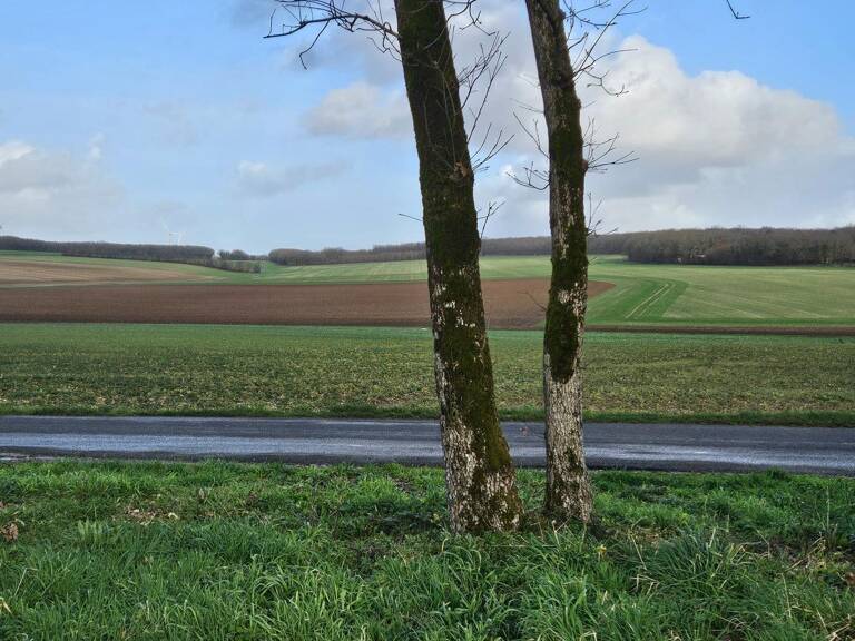 grand terrain constructible au calme — photo 1