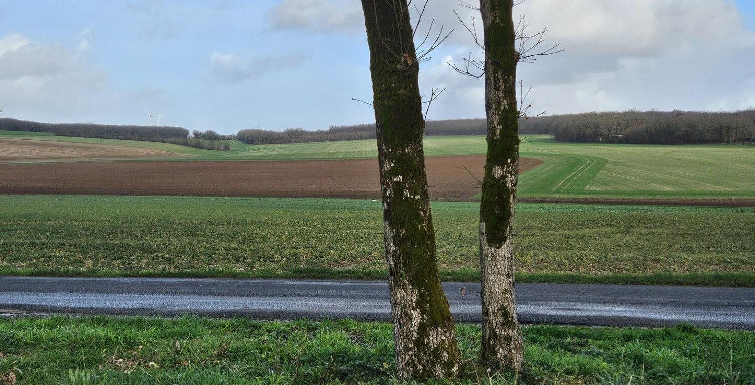 grand terrain constructible au calme — photo 1