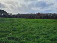 grand terrain constructible au calme — photo 2