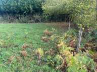 Terrain constructible 1496 m2 — photo 4