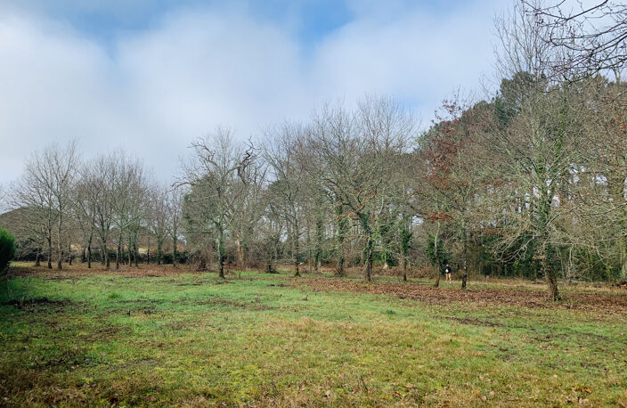 LEGE CAP FERRET - Terrain à bâtir viabilisé de 780 m2 libre — photo 2