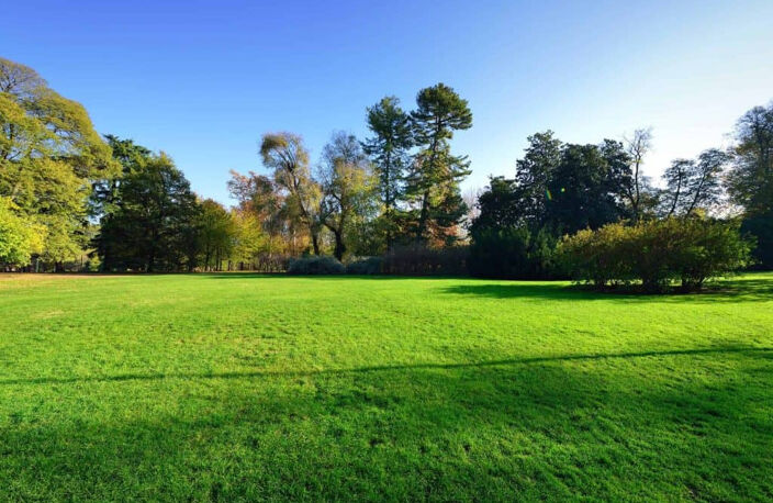Lège-Cap-Ferret - Terrain à bâtir viabilisé de 876m2 environ — photo 2