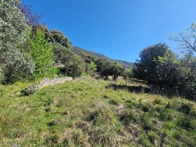 TERRAIN A VENDRE — photo du bien
