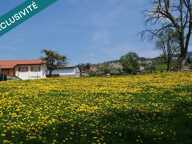 MAISON TRADITIONNELLE CRANVES SALES CAMPAGNE — photo 2