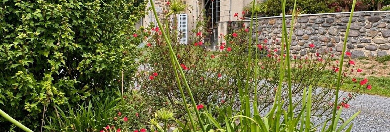 Maison 4 Pièces 169 m² à vendre à Arette (64570)