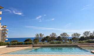 Appartement 1 Pièce 29 m² à vendre à Antibes (06160)