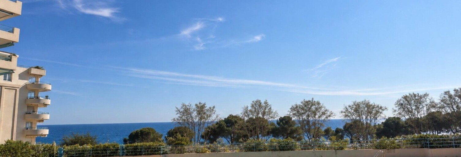 Appartement 1 Pièce 29 m² à vendre à Antibes (06160)