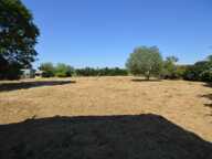 terrain constructible 2950m2 zone UC — photo 3