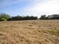 terrain constructible 2950m2 zone UC — photo 4
