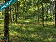 Étang sur 1,45 ha de terrain plat dans le Gers — photo 3