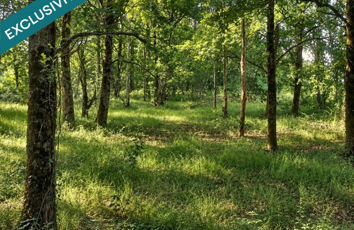 Étang sur 1,45 ha de terrain plat dans le Gers — photo 3