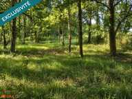 Étang sur 1,45 ha de terrain plat dans le Gers — photo 4