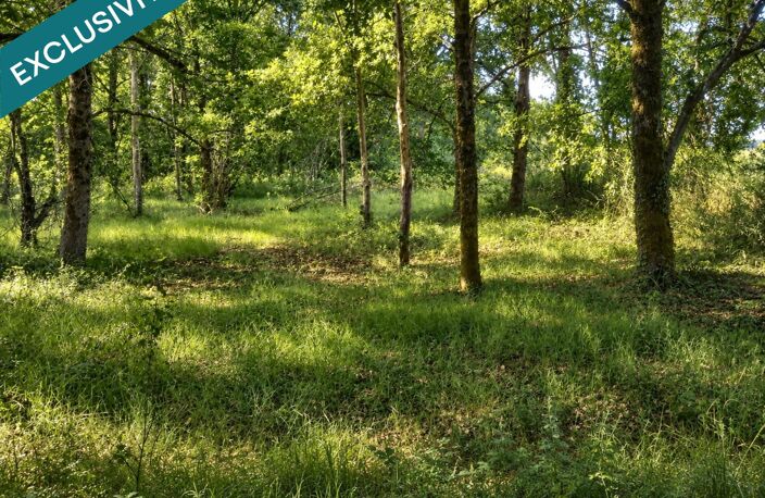 Étang sur 1,45 ha de terrain plat dans le Gers — photo 4