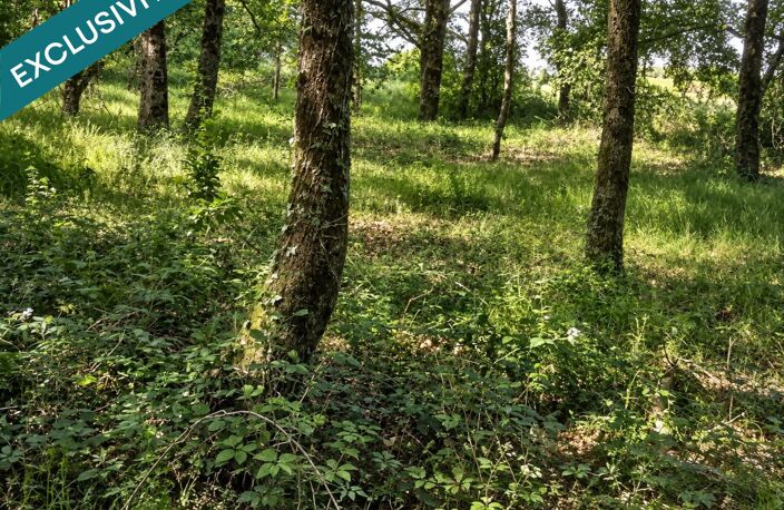 Étang sur 1,45 ha de terrain plat dans le Gers — photo 5