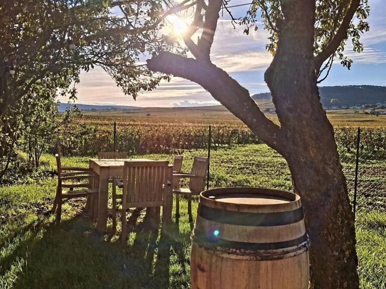 A saisir restaurant (fond et murs) idéalement situé face au vignoble — photo 1
