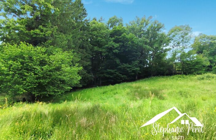 Construisez votre avenir dans un havre de paix ! Saisissez l'opportunité de bâtir votre projet sur un terrain constructible de 2487 m² à Peret Bel Air. — photo 3