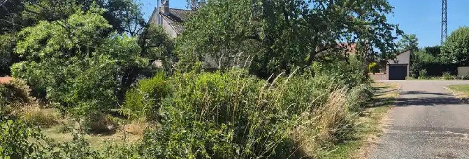 Maison 8 Pièces 196 m² à vendre à Corpeau (21190)