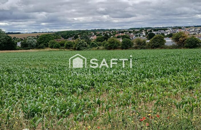 THAON. Faire vite, dernier terrain.309 M².69500 €. — photo 4