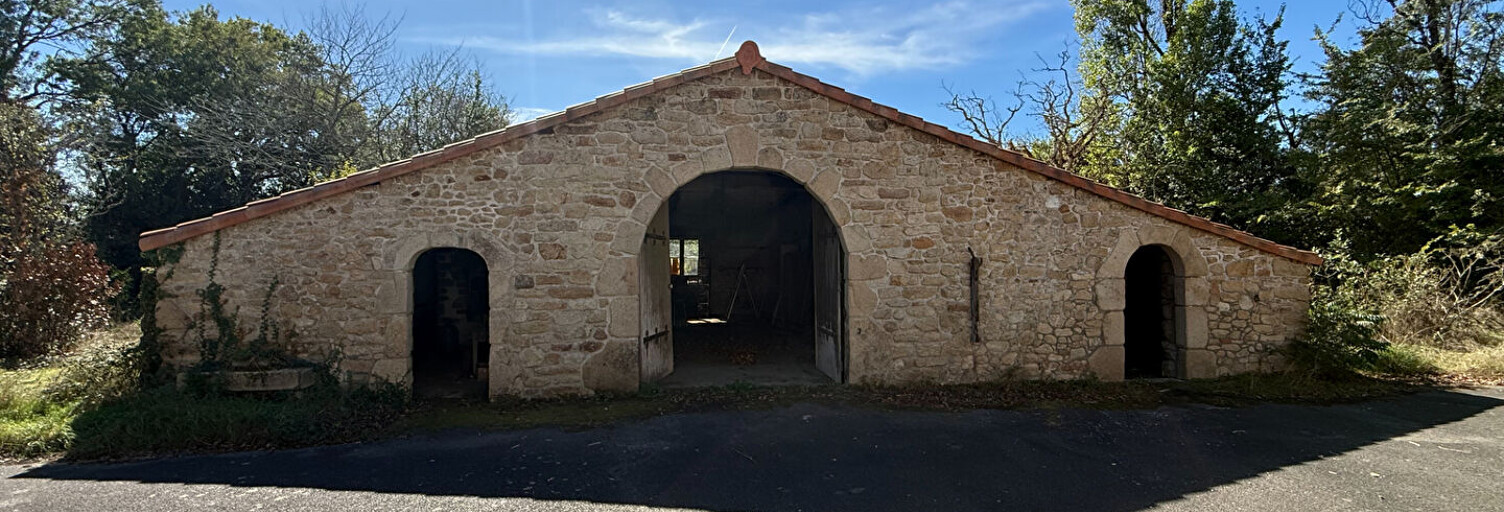 Photo N° 2