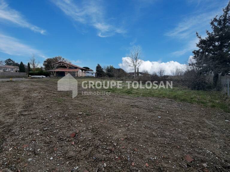 Terrain — photo 1