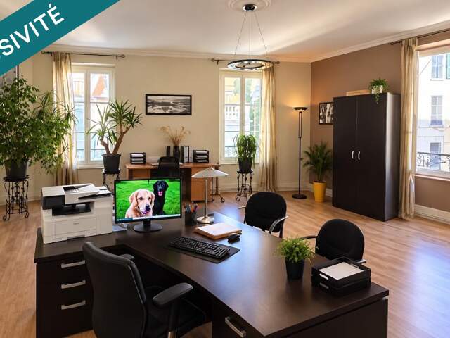 Bel appartement, Cusset — photo du bien