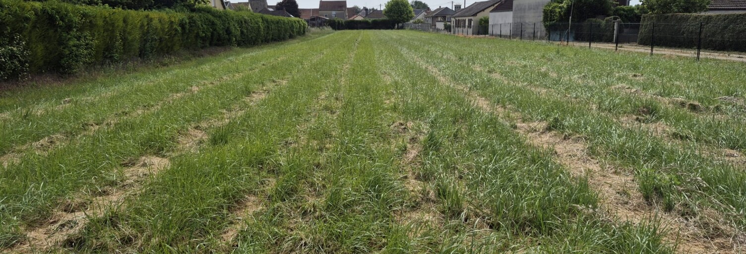 Terrain  3234 m² à vendre à Gélannes (10100)