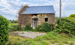 Photo N° 2