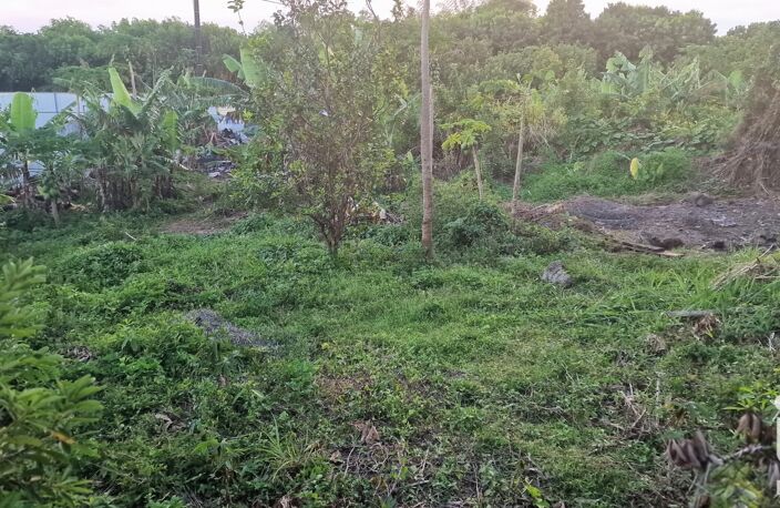 Vente Terrain 560 m&sup2; — photo 2
