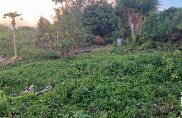 Vente Terrain 560 m&sup2; — photo 4