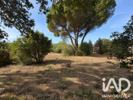 Vente Terrain à bâtir 4 392 m&sup2; — photo 2