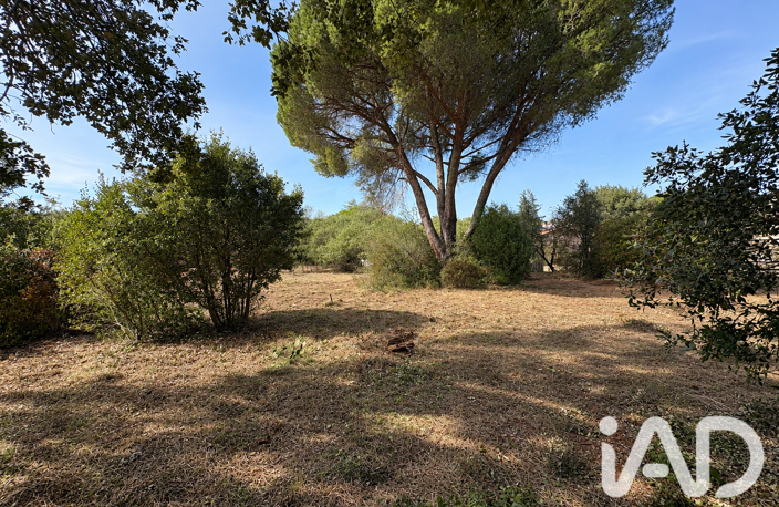 Vente Terrain à bâtir 4 392 m&sup2; — photo 2